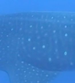 6bef2826-998a-45d5-acdd-b99a310d6cd7