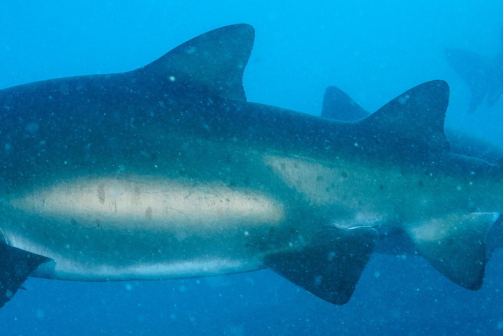 8907a3ba-3b2f-4a05-aabe-733432780c2f