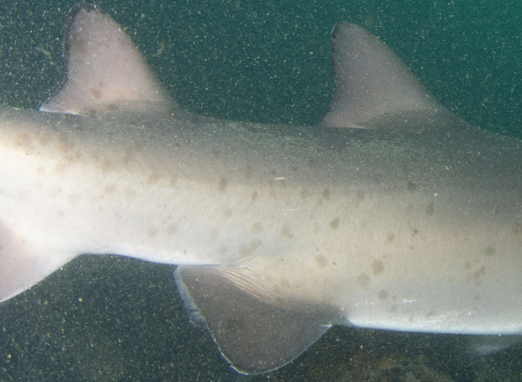 1a6be892-b5e7-4c98-b9ce-8b2f655b8336