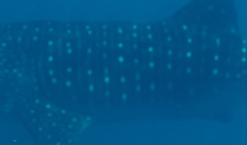 66b6248a-9b24-46ce-8b6e-a87941d1b2d4