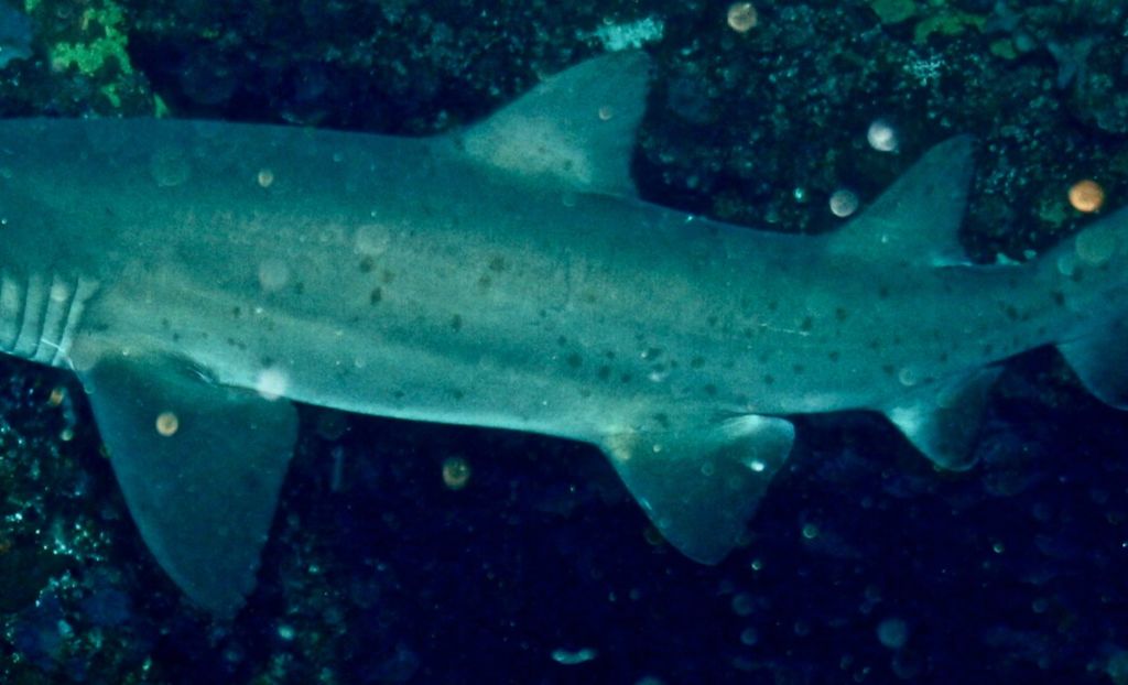 014033dd-e38a-4958-bfa3-482ec5b0db19