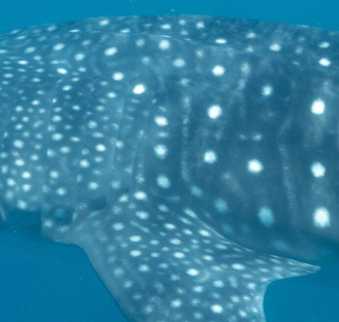 5a70d015-a2ac-4576-b348-fe1d0077b53a