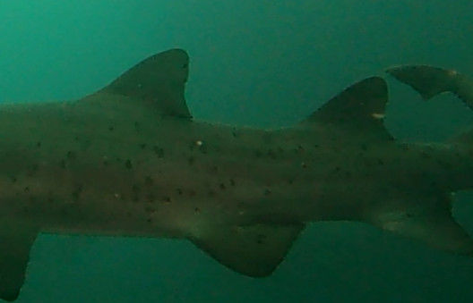 ec3d3636-cee4-4c1a-b366-dda0b8f3b512