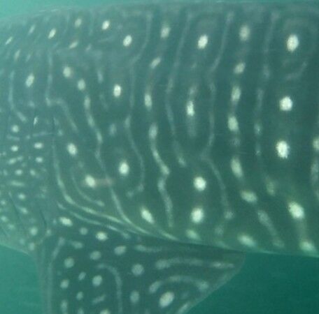 a9cfd1bf-4548-4057-8adc-d1ad622cac44