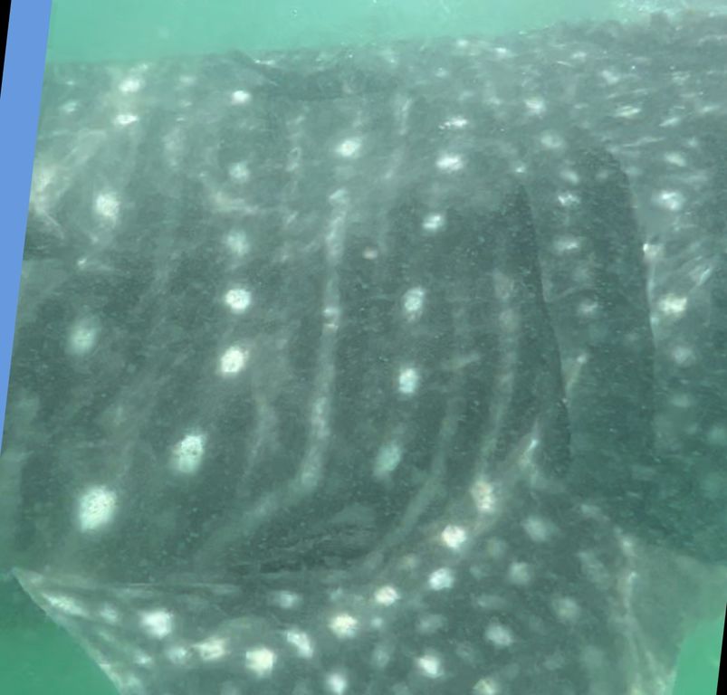 e304d69d-feb8-4453-91fc-4499d3e2c771