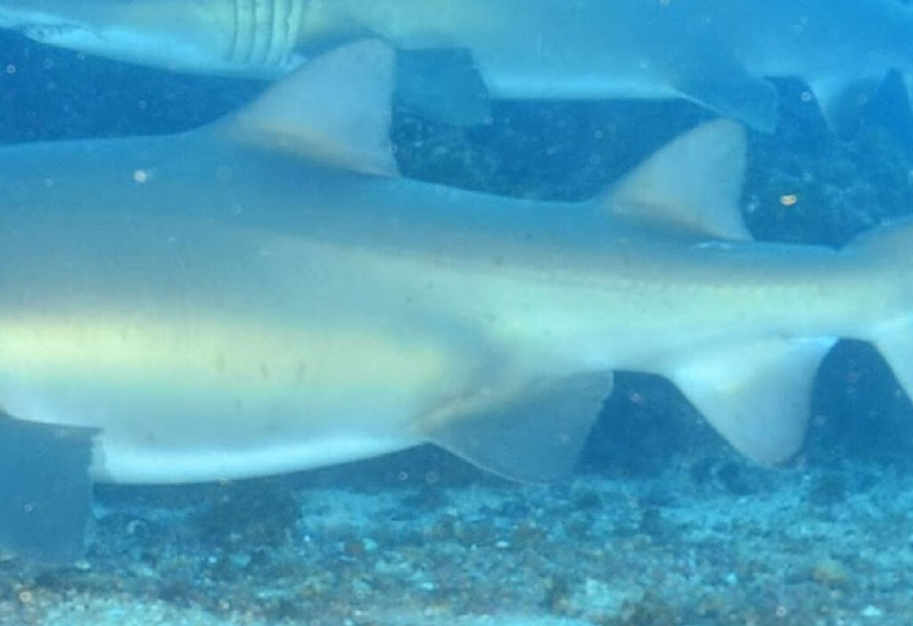 9bcddd17-2d17-45b4-8413-0d3c8adca1c0