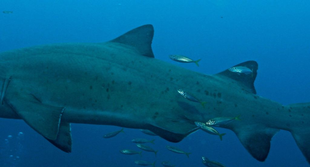 d236128c-07fa-4a69-a7a1-be26e6a50a17