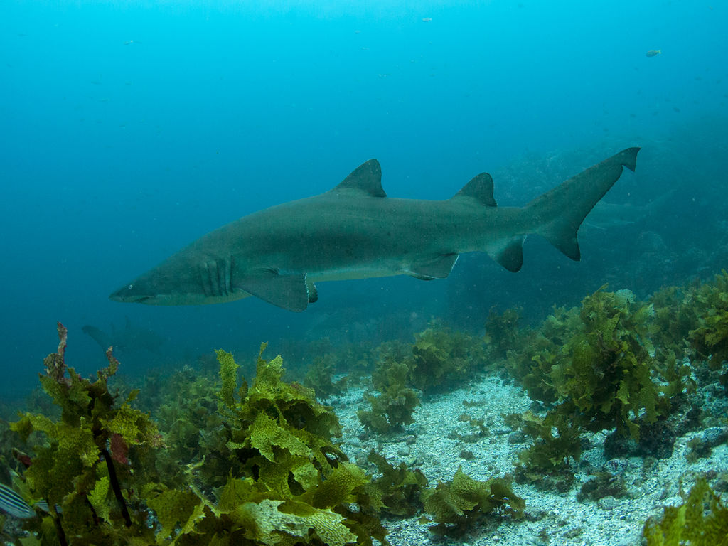 7f9294f4-d436-440e-8c96-7e241e37fc2f