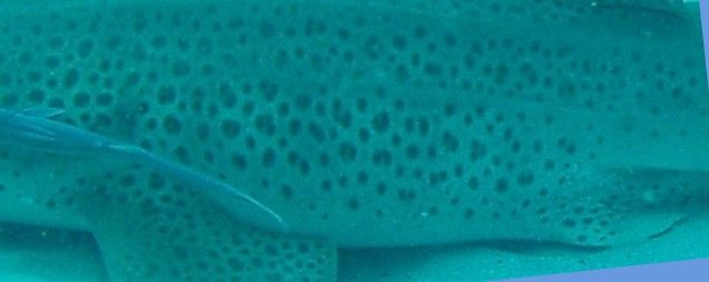 b907abe2-3d04-407f-b3ce-f925bc9d529d