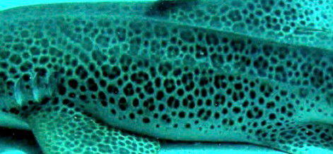 b45f4282-44ca-4e44-bc3b-864317c9c783