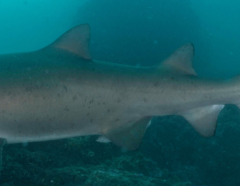 71cfd099-cff4-47aa-81d2-41b2d0d18646