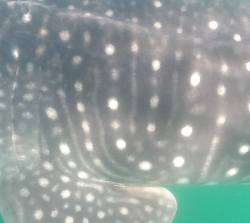 34de21de-68b0-42ba-bcae-394695d8ecd2