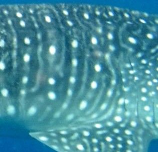 56467ced-ac27-4aca-b7fc-bb0ebc0a469c