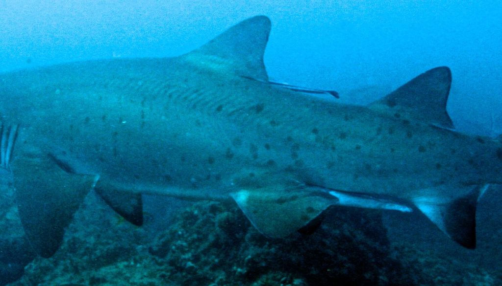 048cd38d-2356-4c73-afce-19a950802842