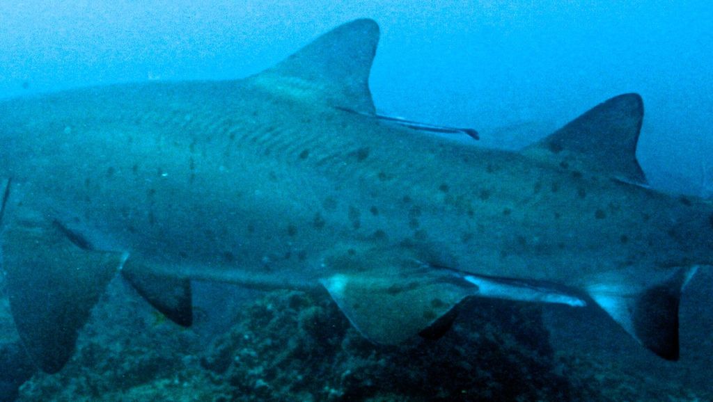 048cd38d-2356-4c73-afce-19a950802842