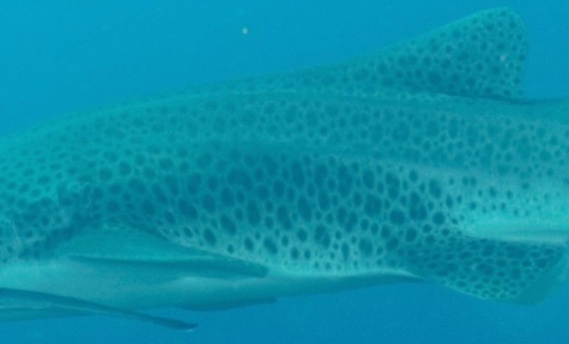 1e726553-6e4c-4edc-bba5-a78dd1ddb617