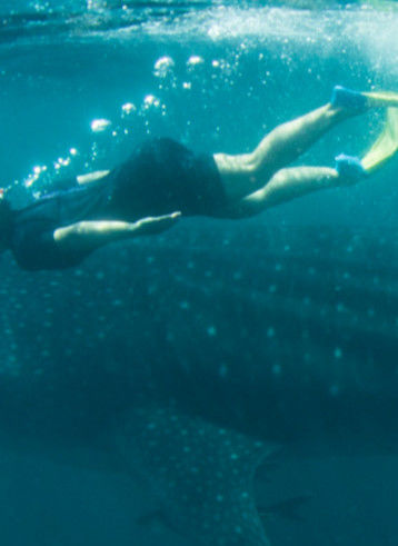 03c6fd71-ff4f-4350-9f70-cc27106404d6