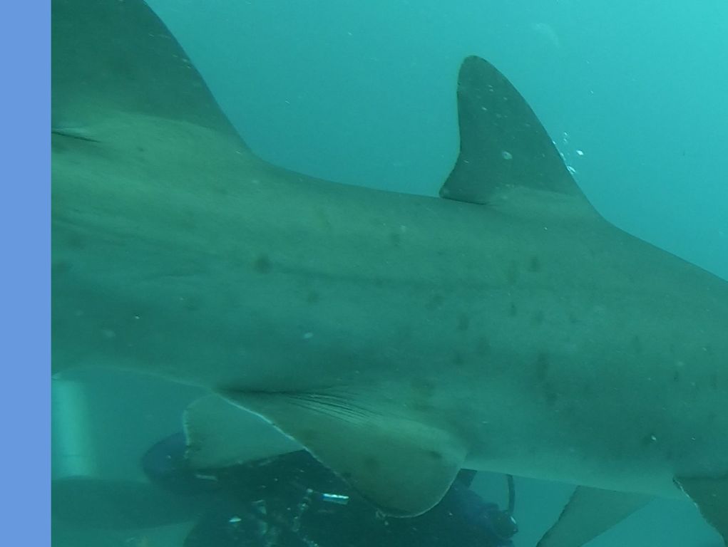 d34beb22-d011-4ba2-8565-3cd455f235ce