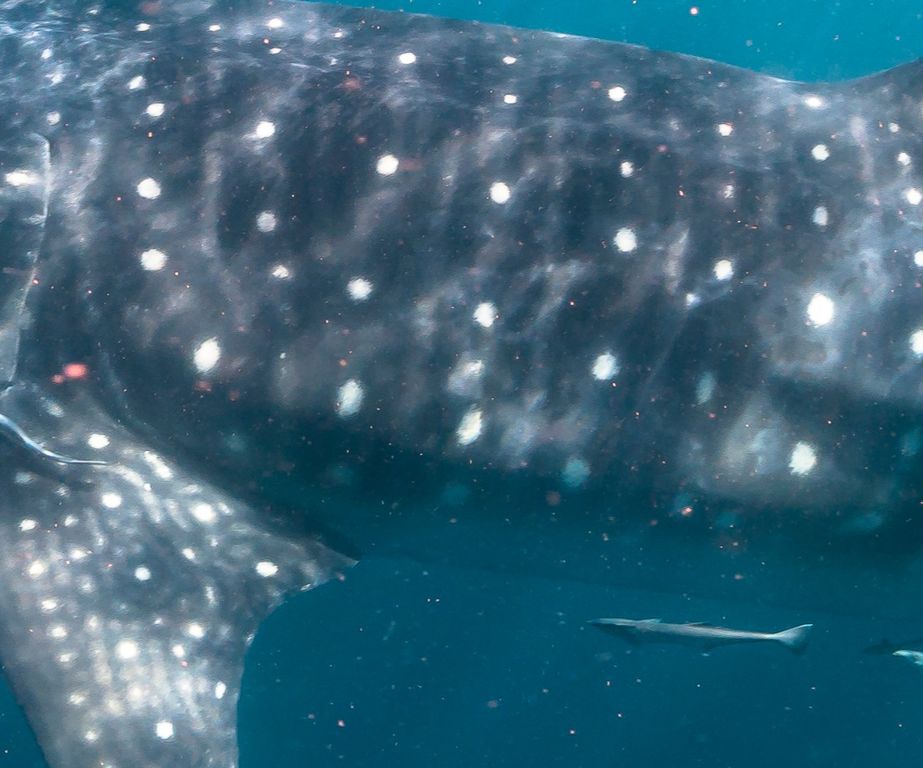 d64f765f-a234-46d6-8568-61ba8f19f2b6