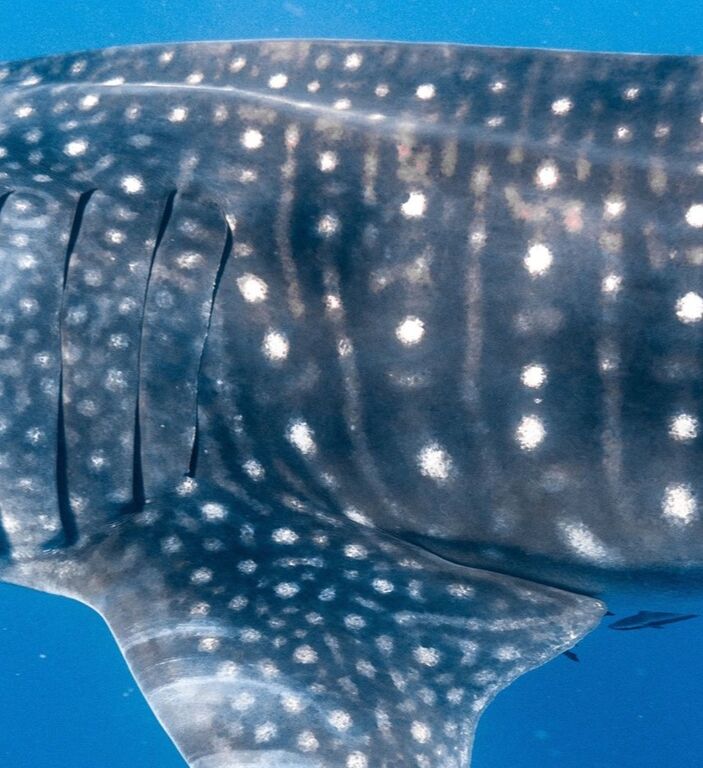 06b656ea-d721-4ef0-8f2b-5cb80f2f9ed1