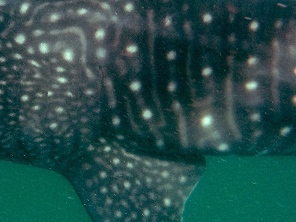 b6209188-85b1-4931-a741-edf362a6738f