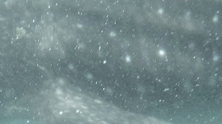 1151de0d-5256-4a08-9999-a90c33405bfc