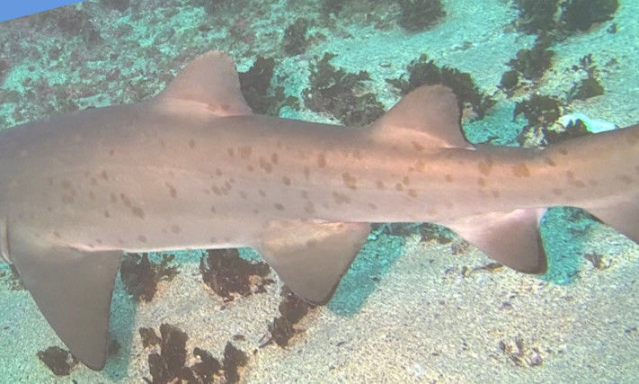 df608fbe-e1a9-476c-845e-ea1a3c552b1a