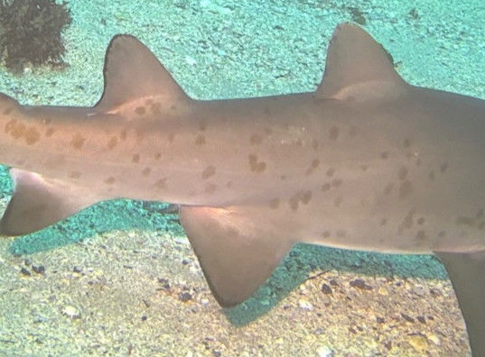 df608fbe-e1a9-476c-845e-ea1a3c552b1a