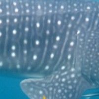 d5f69560-d194-4d56-b905-abdbf6b2c9a0