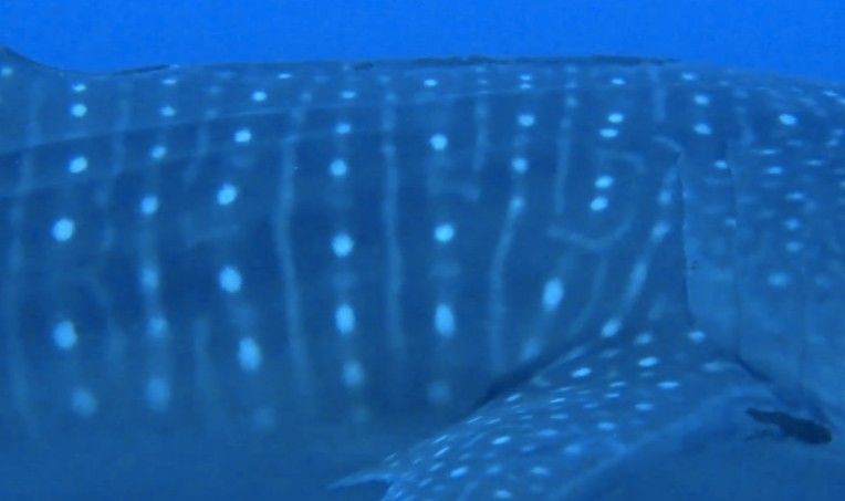 0bae890b-156c-4767-92b4-ab761ff86478