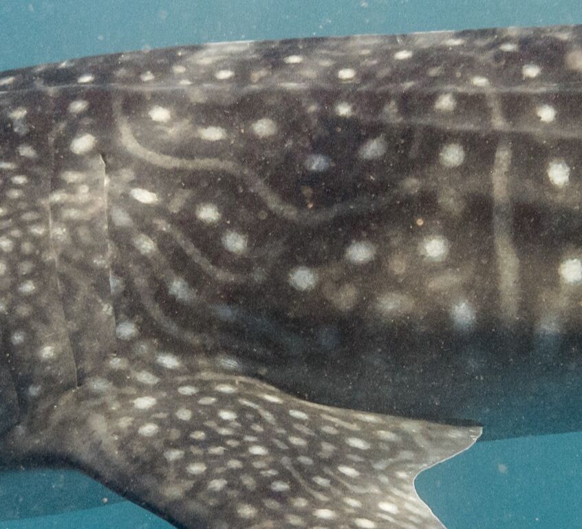 c916d5e6-e072-492c-bc47-27cc989d5207