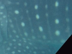 e256df77-250c-4feb-af8b-e5e49873431d