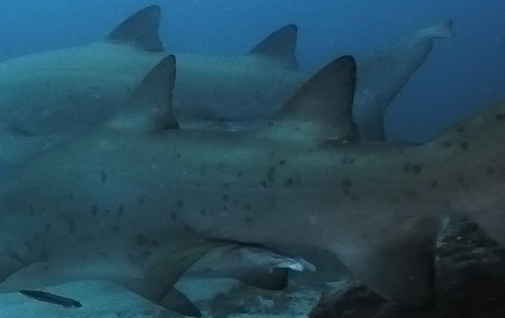 cd8bfbe9-d145-4cf4-9a5b-7c44a927fcef