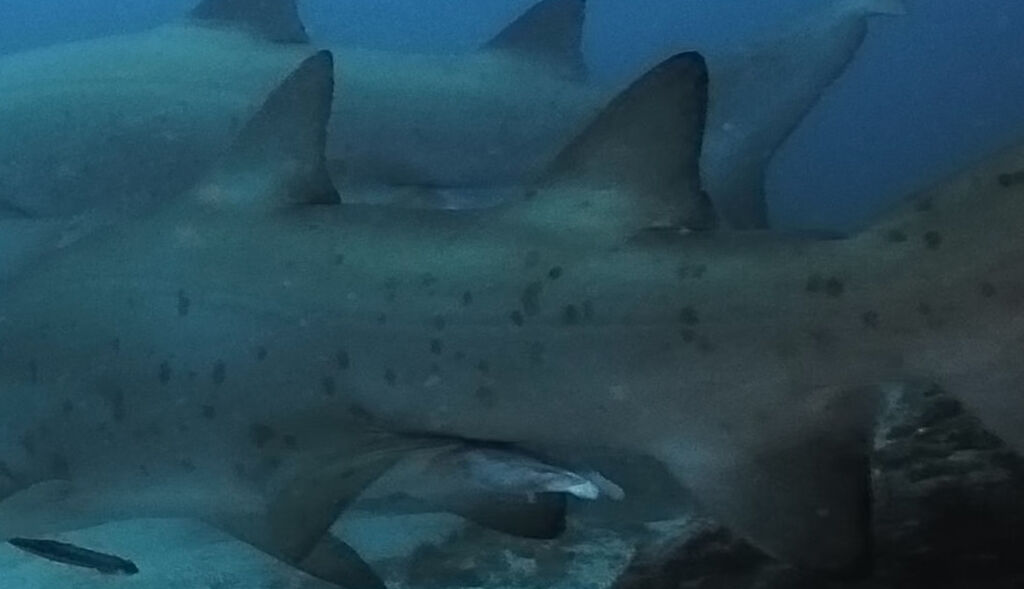 cd8bfbe9-d145-4cf4-9a5b-7c44a927fcef