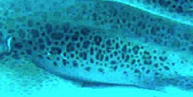 5b5d751a-f7a0-478b-970e-3cfa0e0431c9