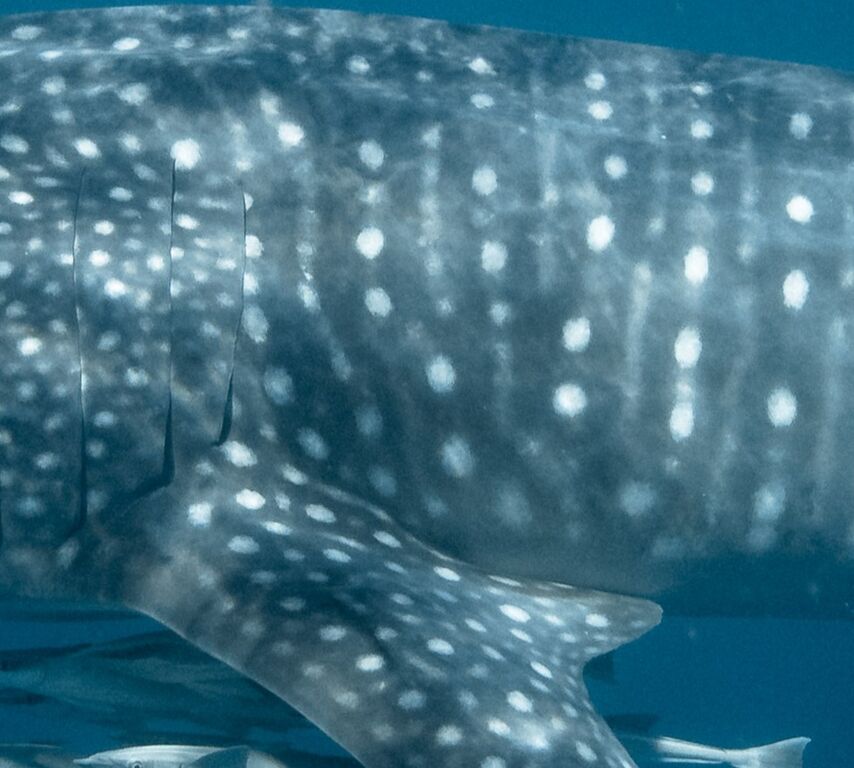 94f1f675-dc18-4244-b43d-24e1415ad3cf