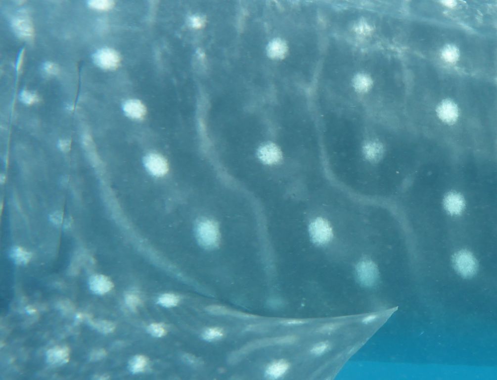 347647b2-22da-4610-8abc-a2b5840eccd0