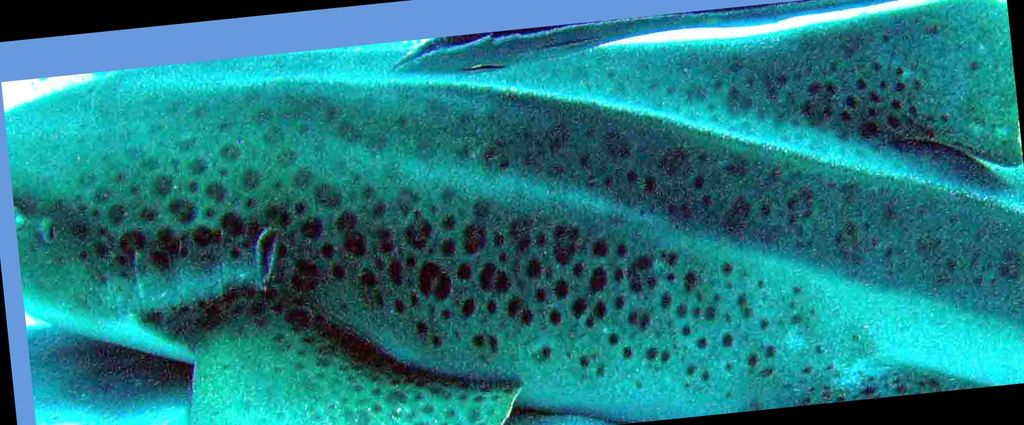 9ed8b762-f5b4-4391-9bb8-1d66f46258f1