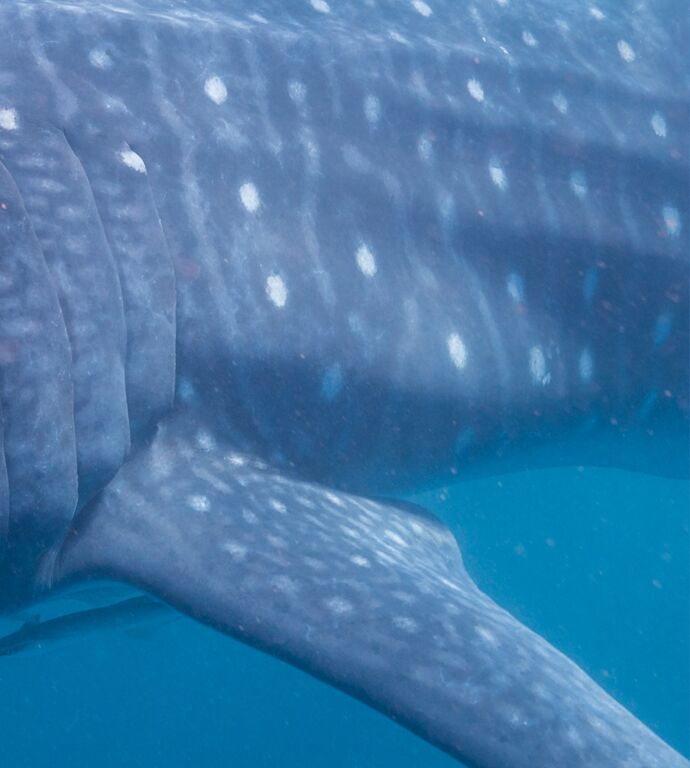 86b57312-cd99-49c2-9882-27995f5a446d