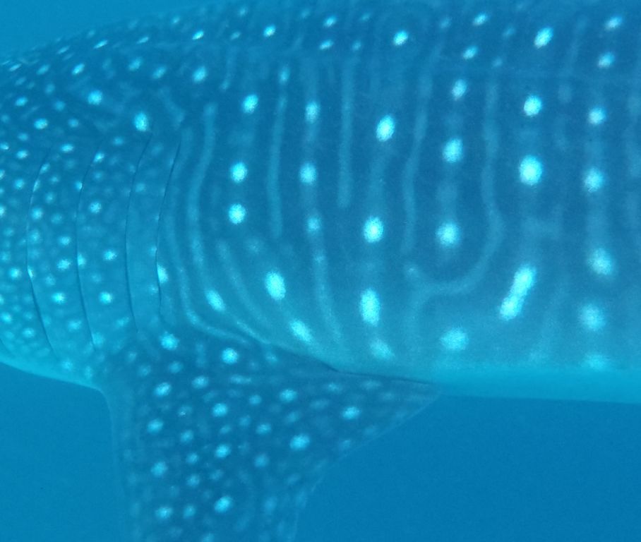 c39568b1-3ddc-48af-ae36-261d34df978c