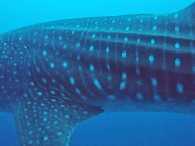 5e5e3d23-6f12-40fd-a95b-2f942e83ae98