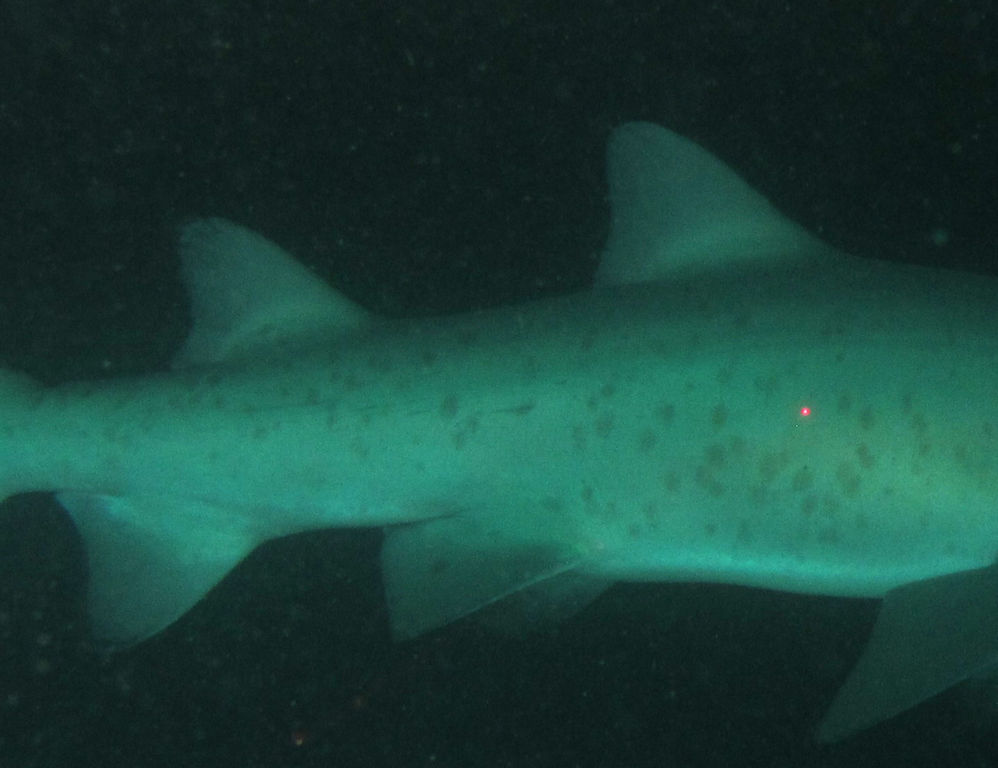 64b0f87e-7cca-405e-ae86-93ac62228e13