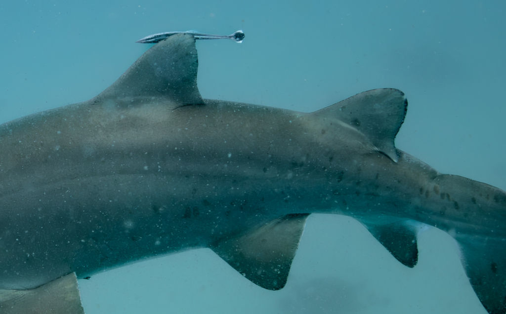 47794bb1-ae5a-4c96-982b-bb92318b7998