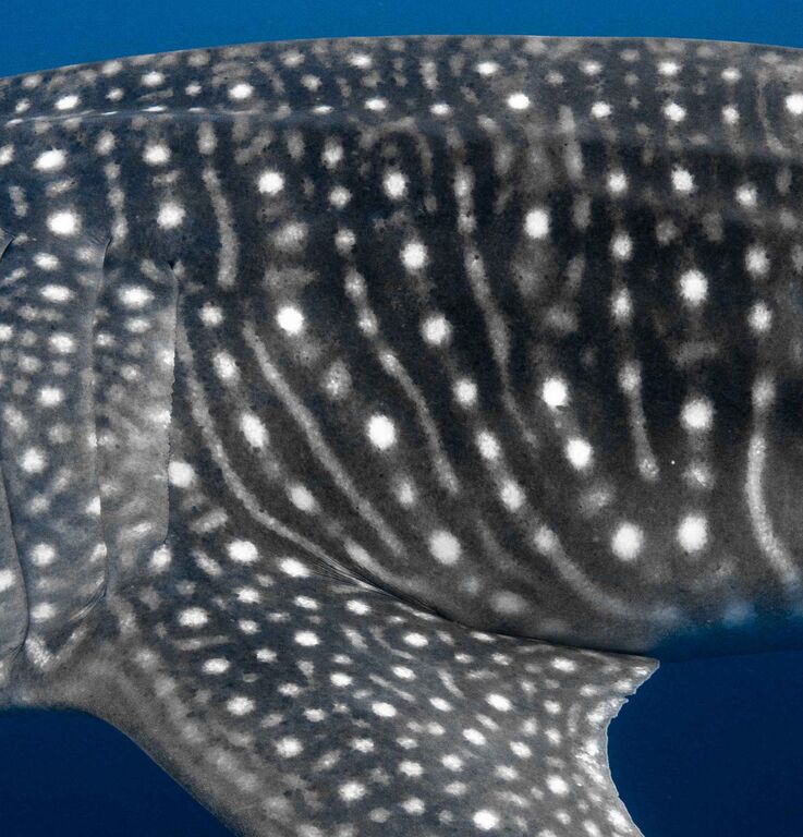 50e5b486-75c9-43e6-9a42-f316d763cfb1