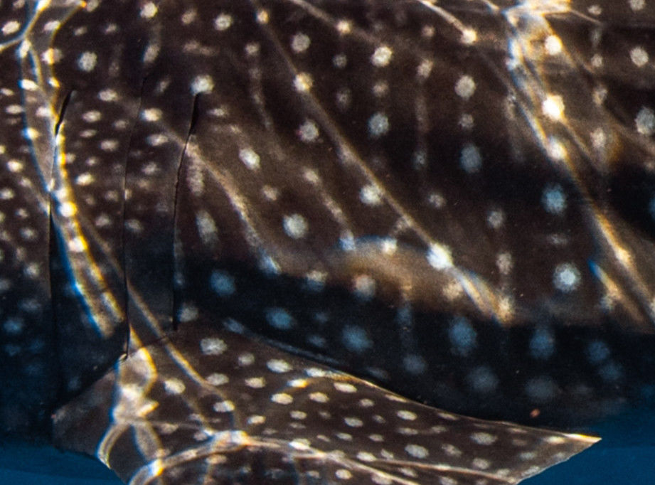 64b0d6bd-18e0-4b9b-a7a3-7b6ae0c8e4c6