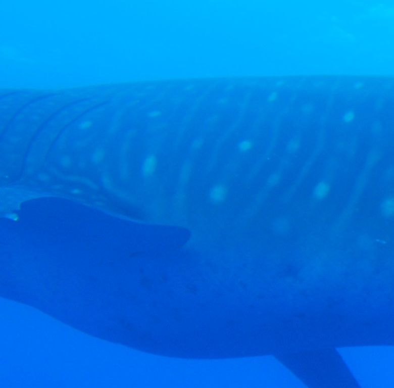 14fc7bb3-aaea-4e01-8fa9-f0571824a508