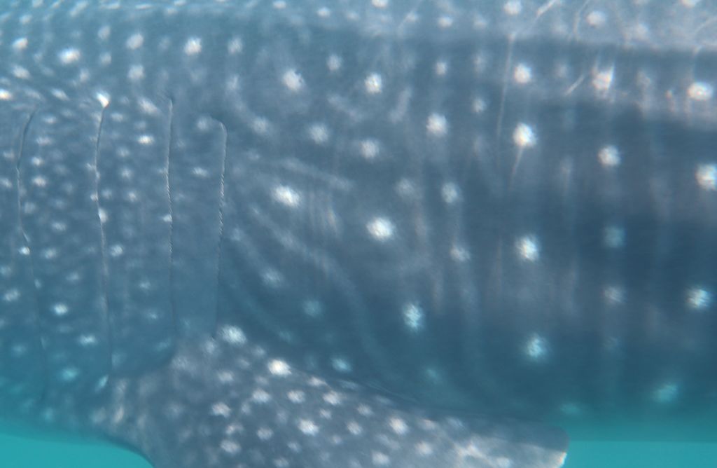 c2e8e3a5-25d9-4e9f-8b8e-7e56de03fbf2