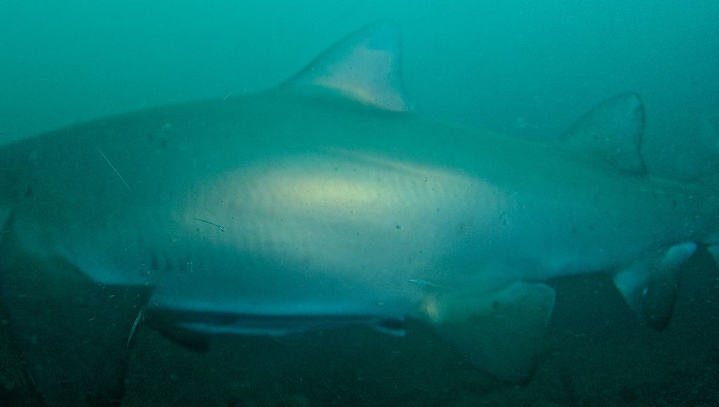 8d96e831-cfcd-45db-8457-91c8a11f681f