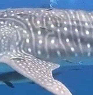 5c13d8e2-c87f-41d1-80e4-78f1144c0e64