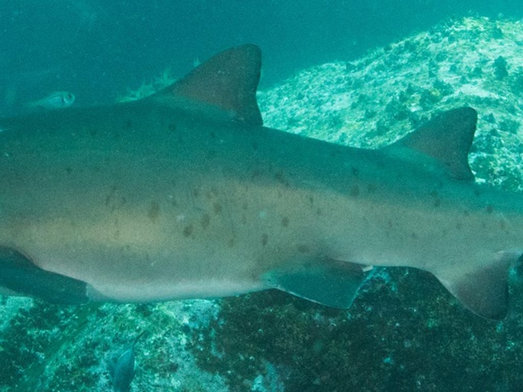 a887188d-eeeb-453a-8d63-dac2d134bdc2